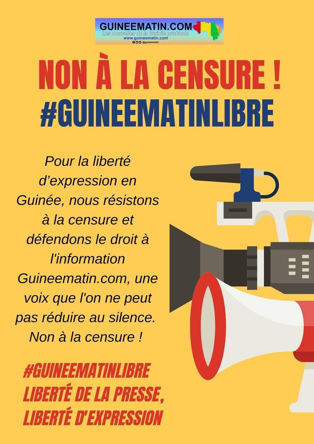 Guineematin